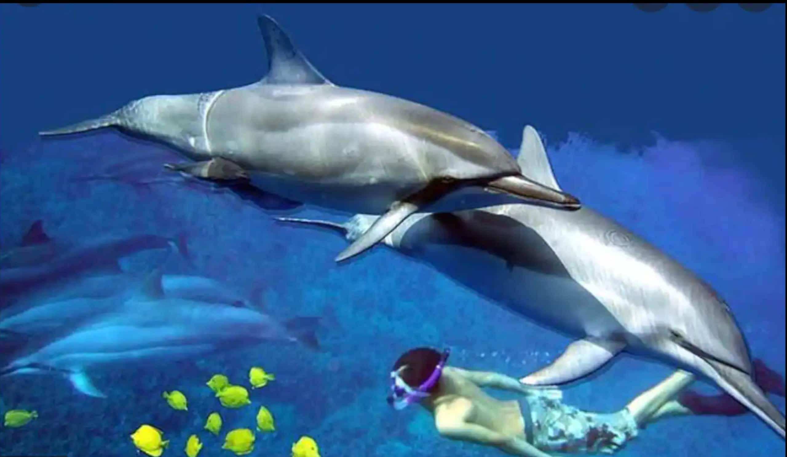 Hawaii Ocean Breeze Dome Getaway - Photo 17