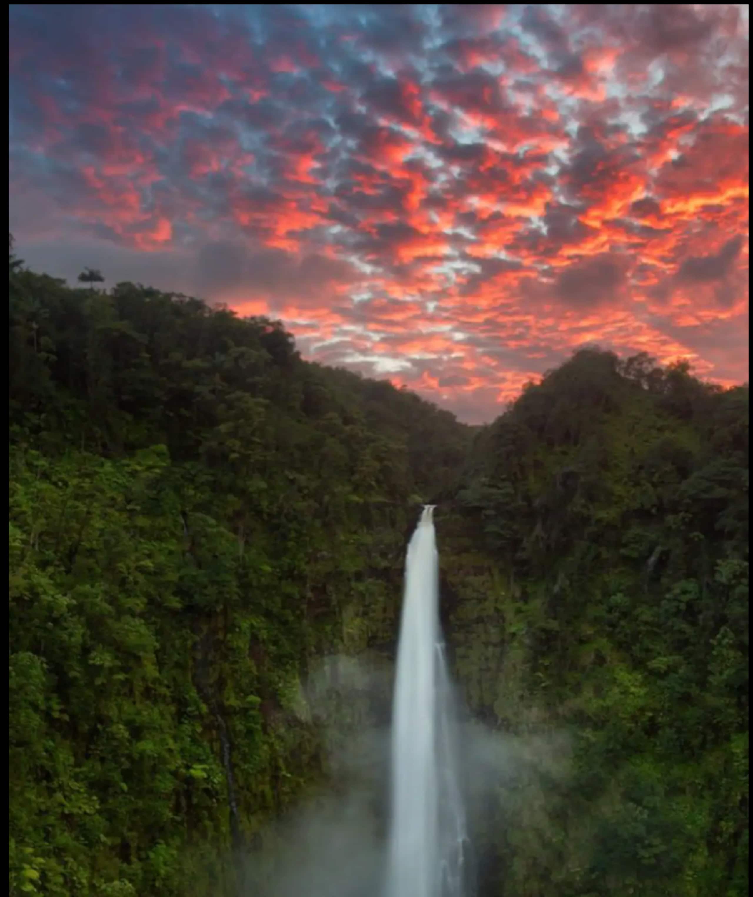 Hawaii Ocean Breeze Dome Getaway - Photo 20