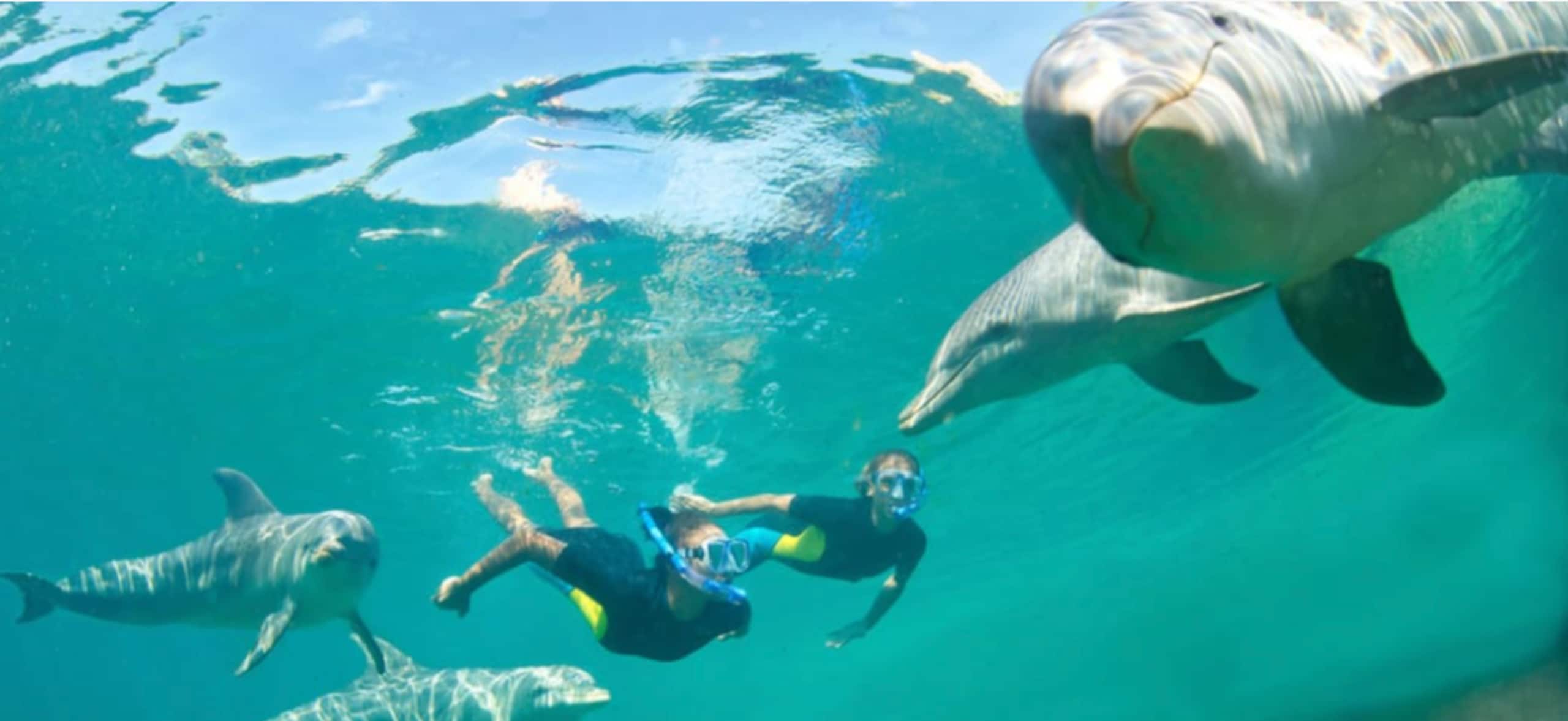 Hawaii Ocean Breeze Dome Getaway - Photo 11