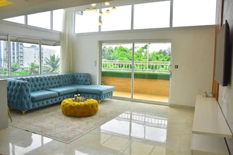 Spacious Penthouse apartment