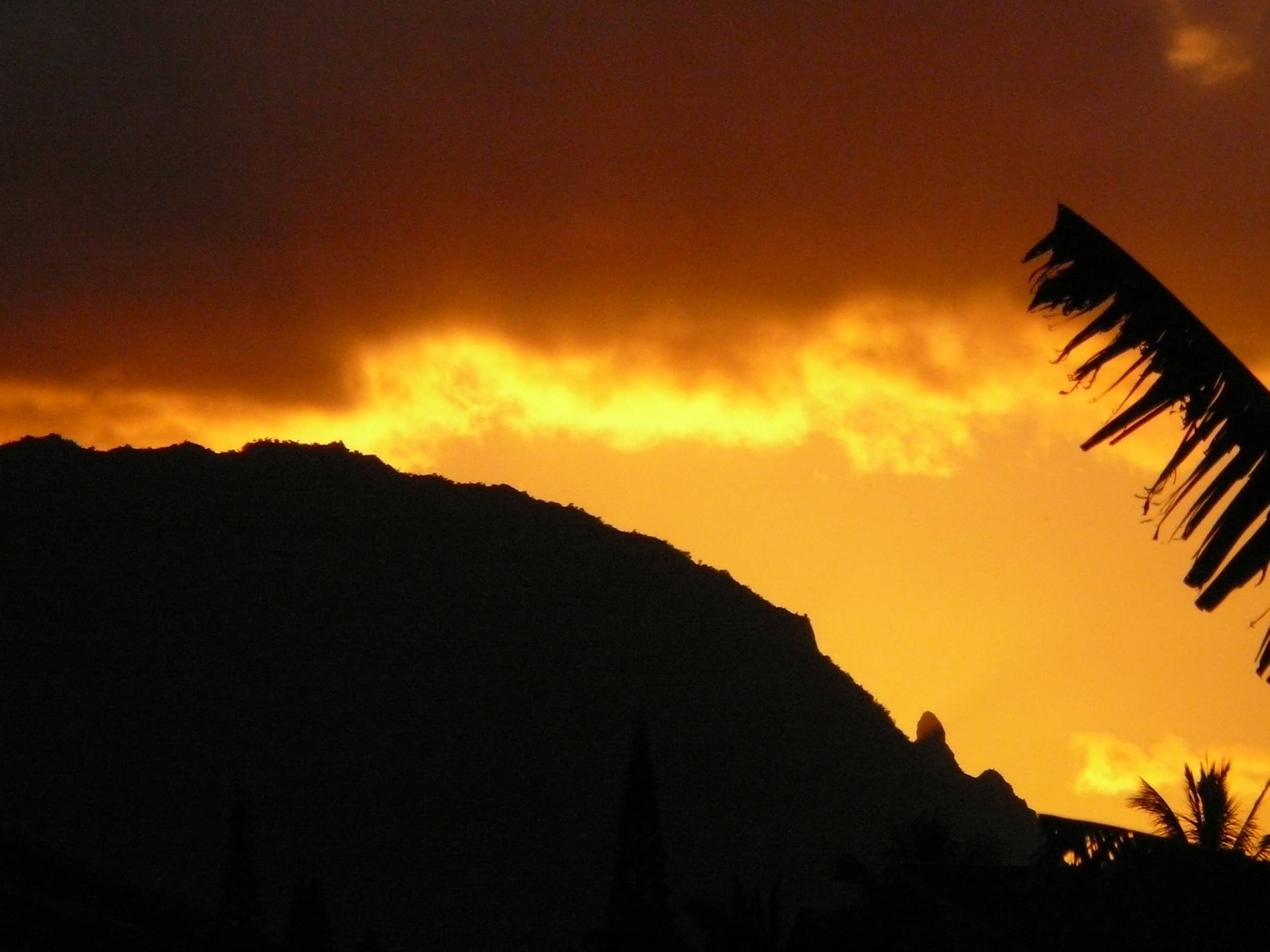 Home in Princeville · ★5.0 · 3 bedrooms · 3 beds · 3.5 baths - Image 3