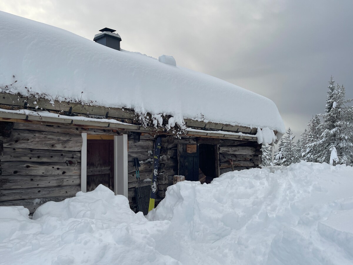 The rustic cabin is surrounded by deep snow, with a thick layer of snow atop the sloped wooden roof. A chimney rises from the peak, indicating warmth inside. The cabin entrance, partially visible, is flanked by snowdrifts, highlighting the tranquil winter landscape.