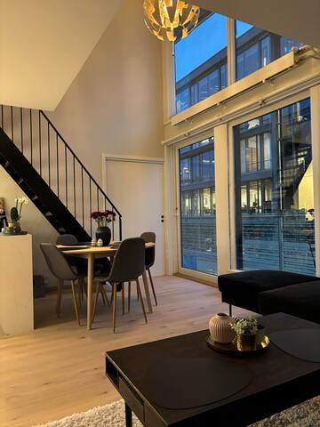 Unique apartment at Tjuvholmen