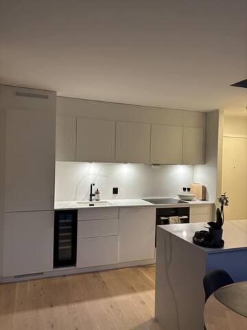 Unique apartment at Tjuvholmen gallery image 3