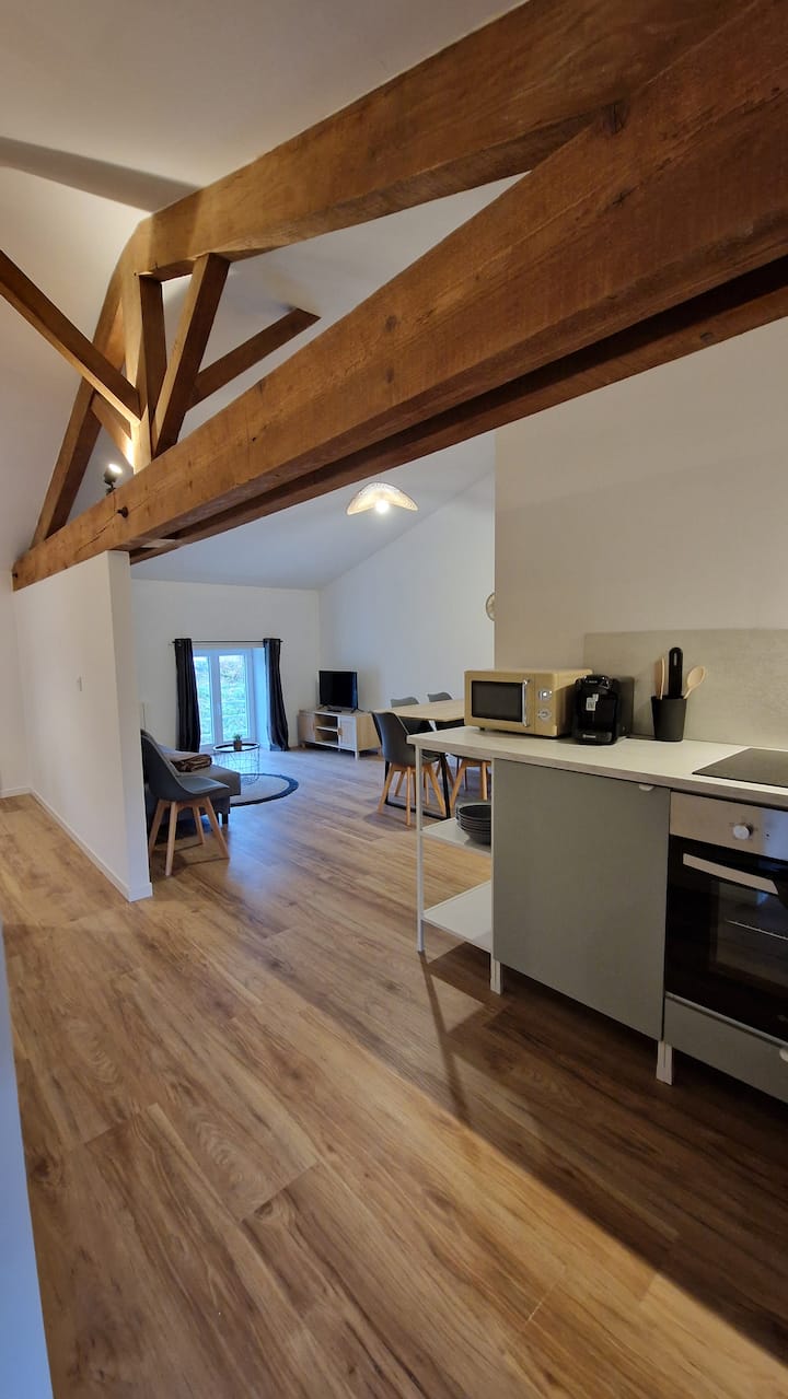 Appartement Loft T3 Lagnieu - Ambérieu-en-Bugey
