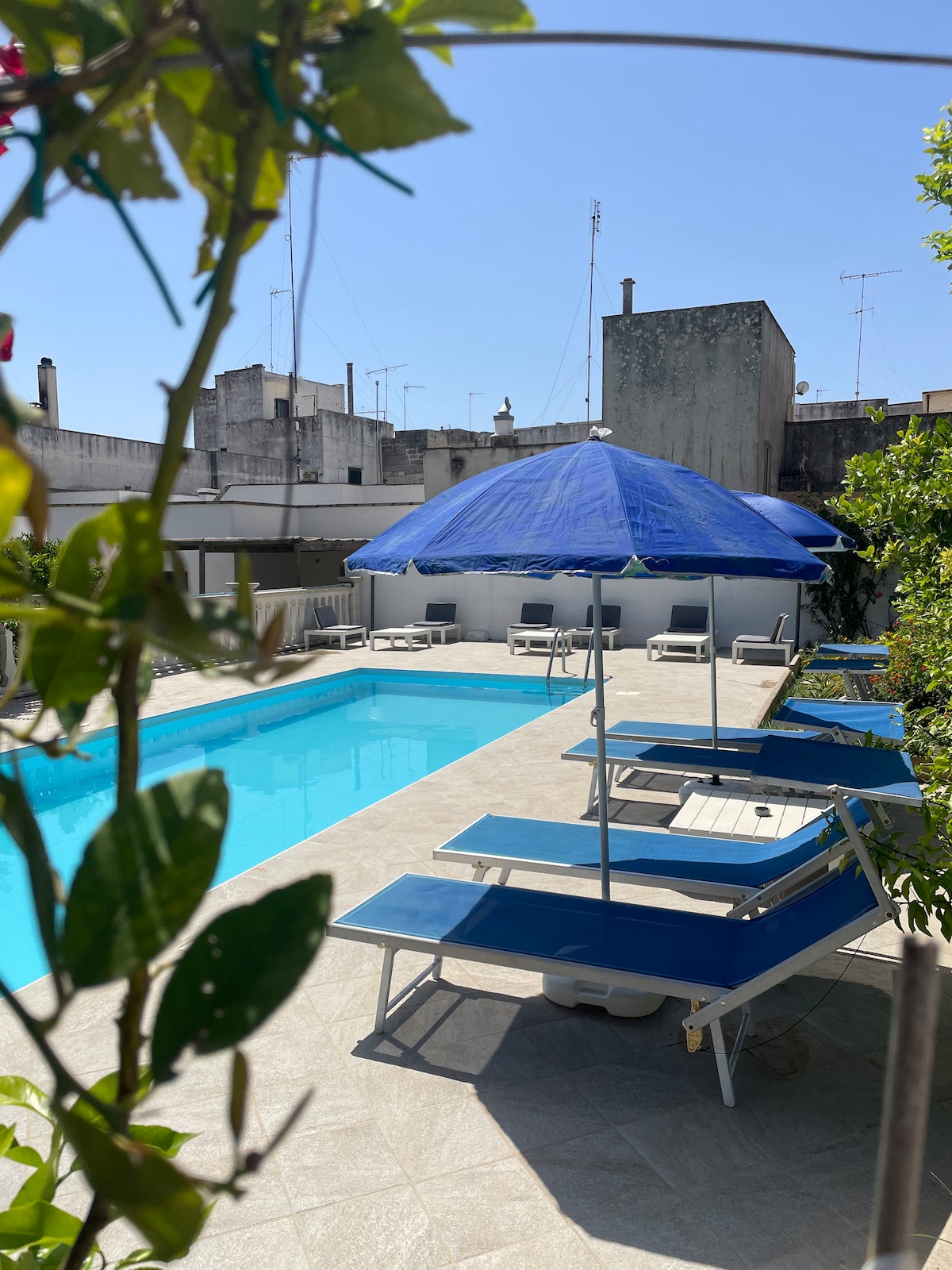 A serene pool area is surrounded by a sun terrace, featuring loungers and a large blue umbrella. Bright sunlight reflects off the water, while green plants frame the scene, creating a tranquil environment for relaxation.