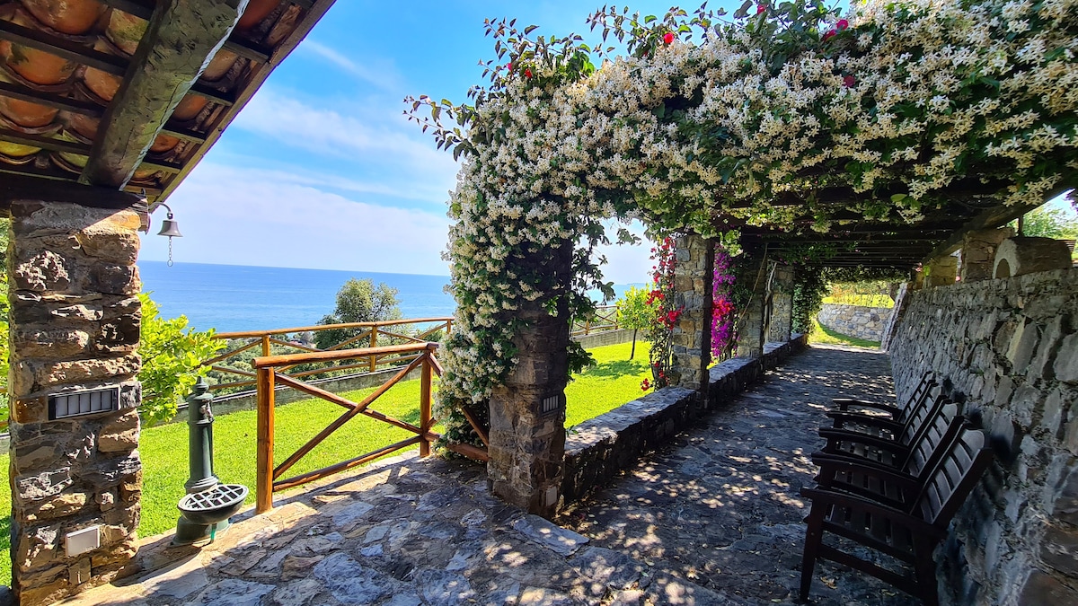 A stone terrace features a pergola adorned with cascading flowers, providing shade and a view of the sea. Wooden chairs are arranged along the terrace, inviting relaxation amidst the lush greenery and the horizon of the ocean.