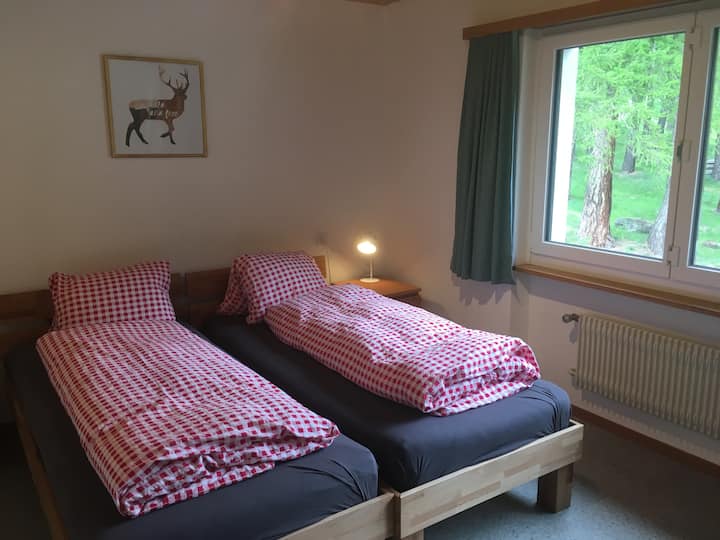 ห้องพักคู่พร้อมวิวป่า