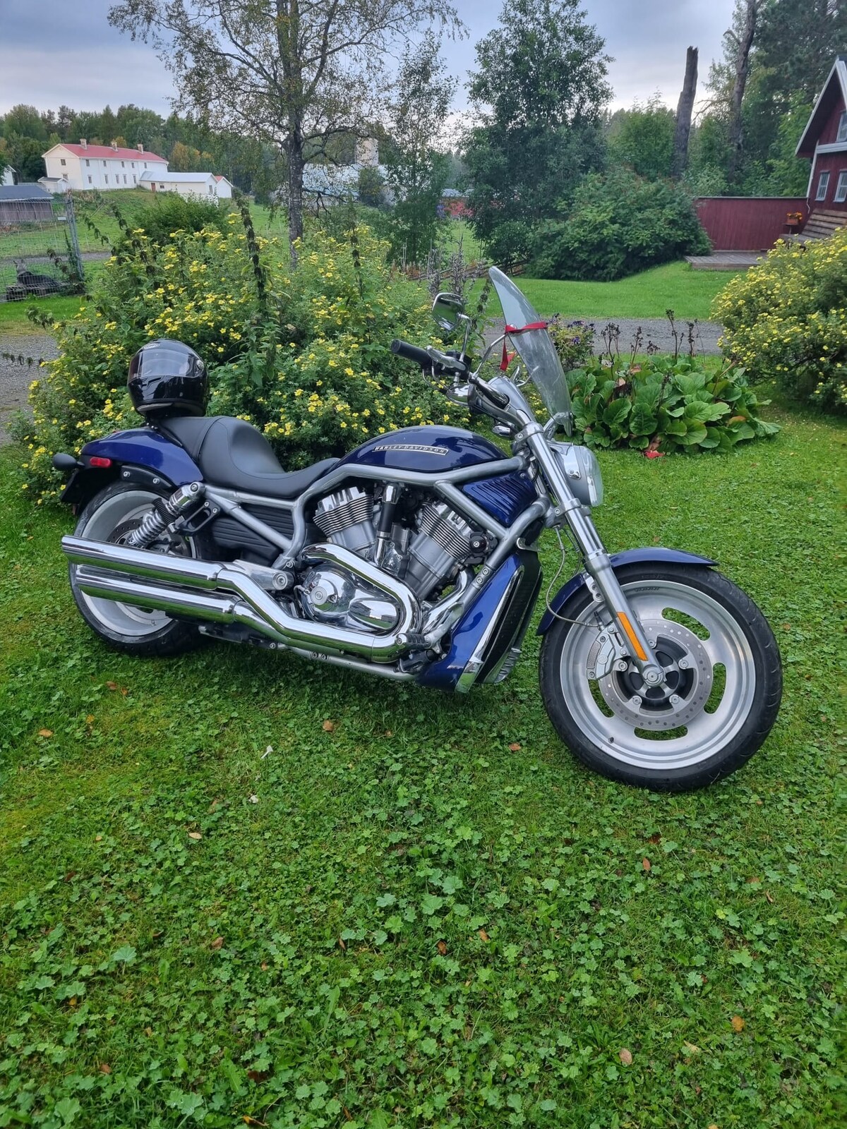 A motorcycle is parked on a verdant green lawn, surrounded by lush foliage and vibrant flowers. The bike features a sleek design with chrome accents and a black seat, while a helmet rests on the seat, ready for the next ride.