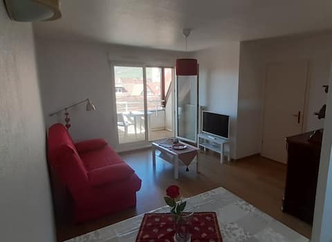 Propriété Airbnb réussie: Apartment Marlenheim à Bas Rhin