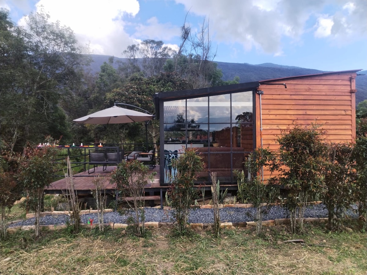 A wooden tiny house is surrounded by greenery, showcasing large glass windows that reflect the landscape. An outdoor deck features a table and chairs under a shaded umbrella, inviting relaxation amidst nature. A gravel path and shrubbery enhance the tranquil setting.