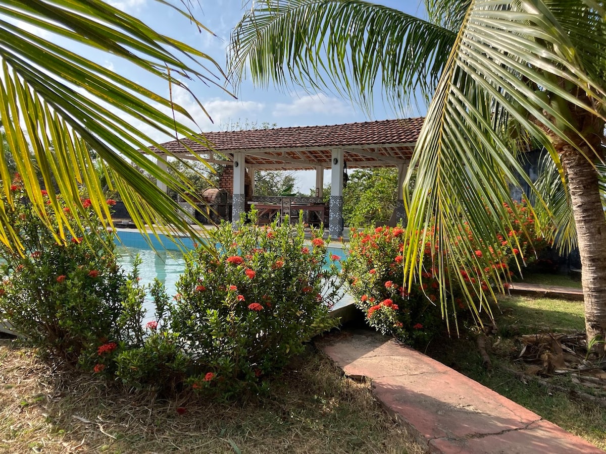 A tranquil pool area is framed by lush palm leaves and vibrant flowering shrubs. A covered patio is visible in the background, providing shaded seating options near the water's edge. The well-maintained garden complements the serene ambiance of the space.