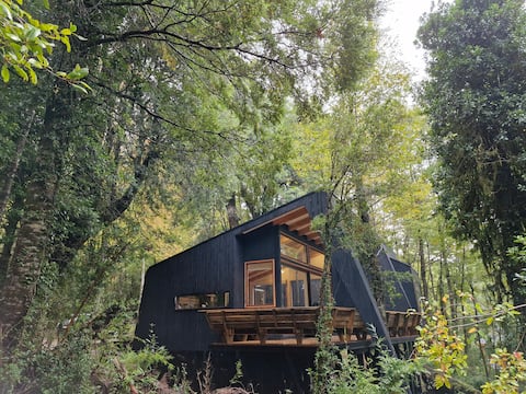 Sustainable house for 6 in Huilo Huilo Reserve
