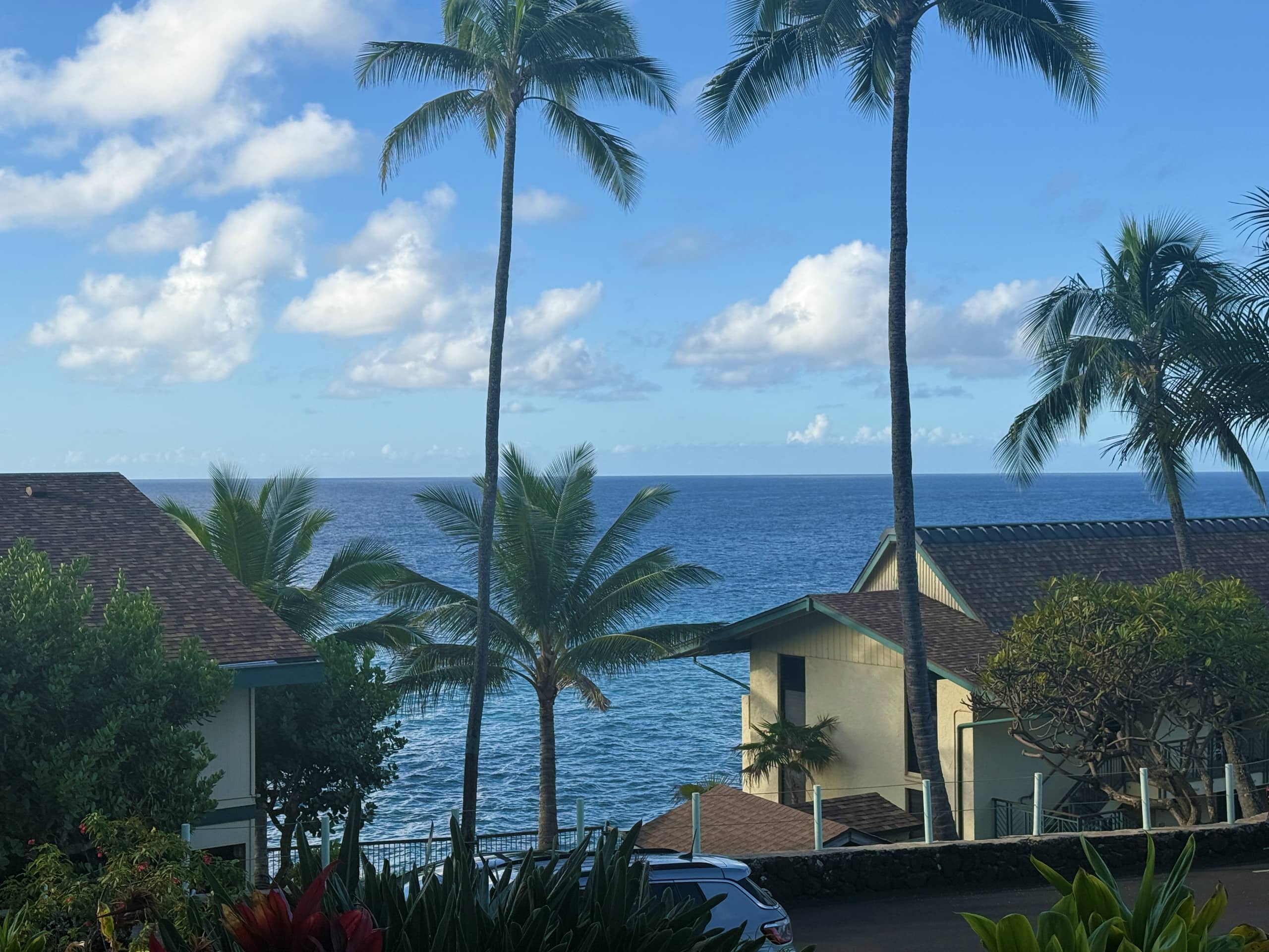 Beautiful Poipu Ocean View condo - Image 19