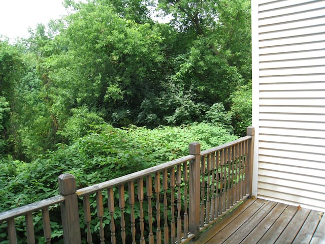Pristine Cape Cod on the Creek – 4 Large Bedrooms gallery image 4