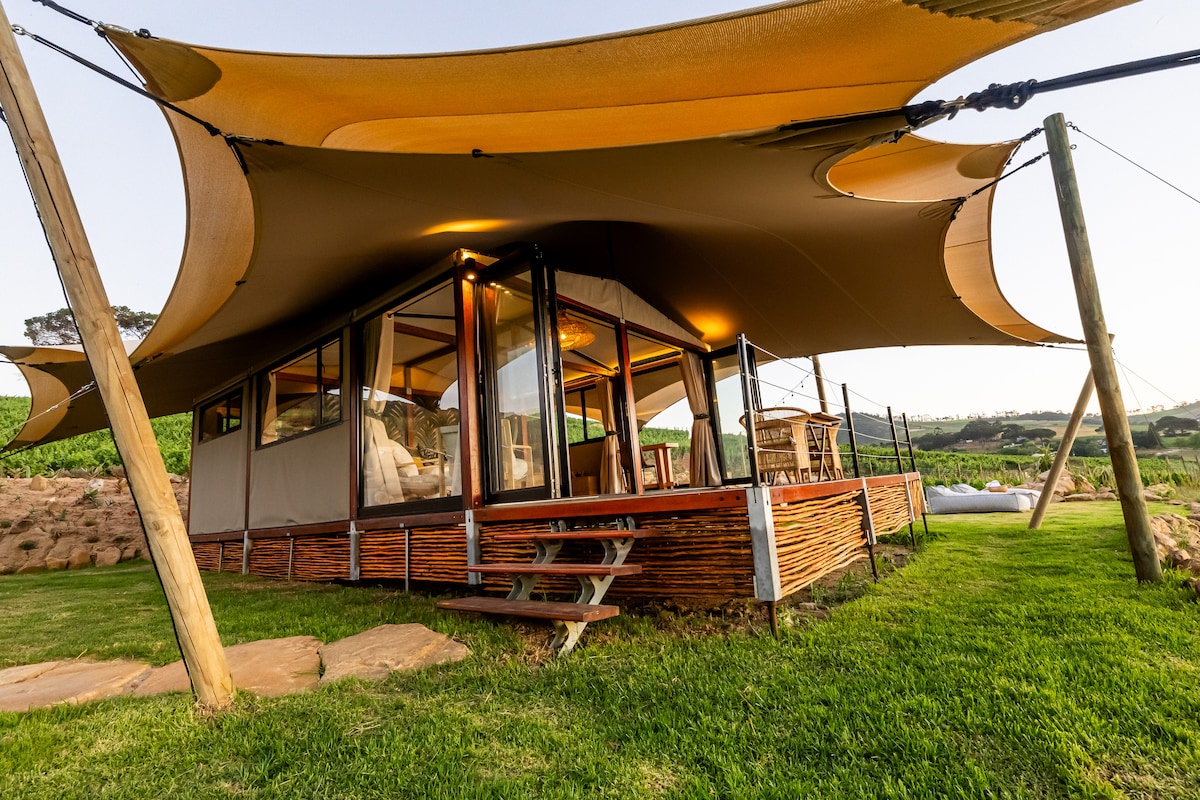 A spacious glamping tent is supported by wooden posts and covered with stretched fabric, providing shade. Large glass windows offer panoramic views of the surrounding vineyard. A wooden deck leads to an outdoor dining area, inviting relaxation in a serene natural setting.