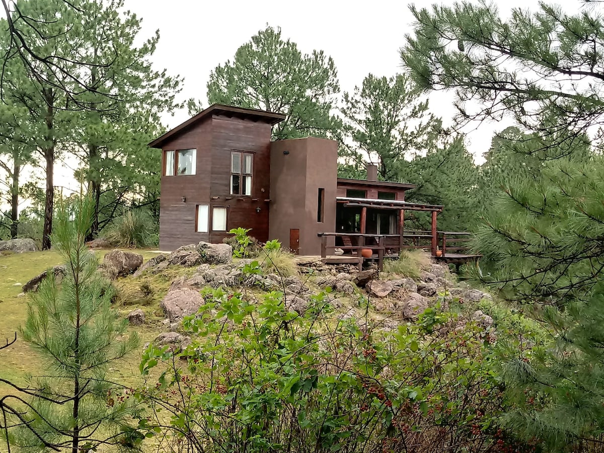 A modern cabin constructed with wooden and stone elements is set amidst a natural landscape. Large windows provide views of the surrounding trees. The structure is positioned on a rocky outcrop, enhancing its connection to the environment. A covered porch extends from the side.
