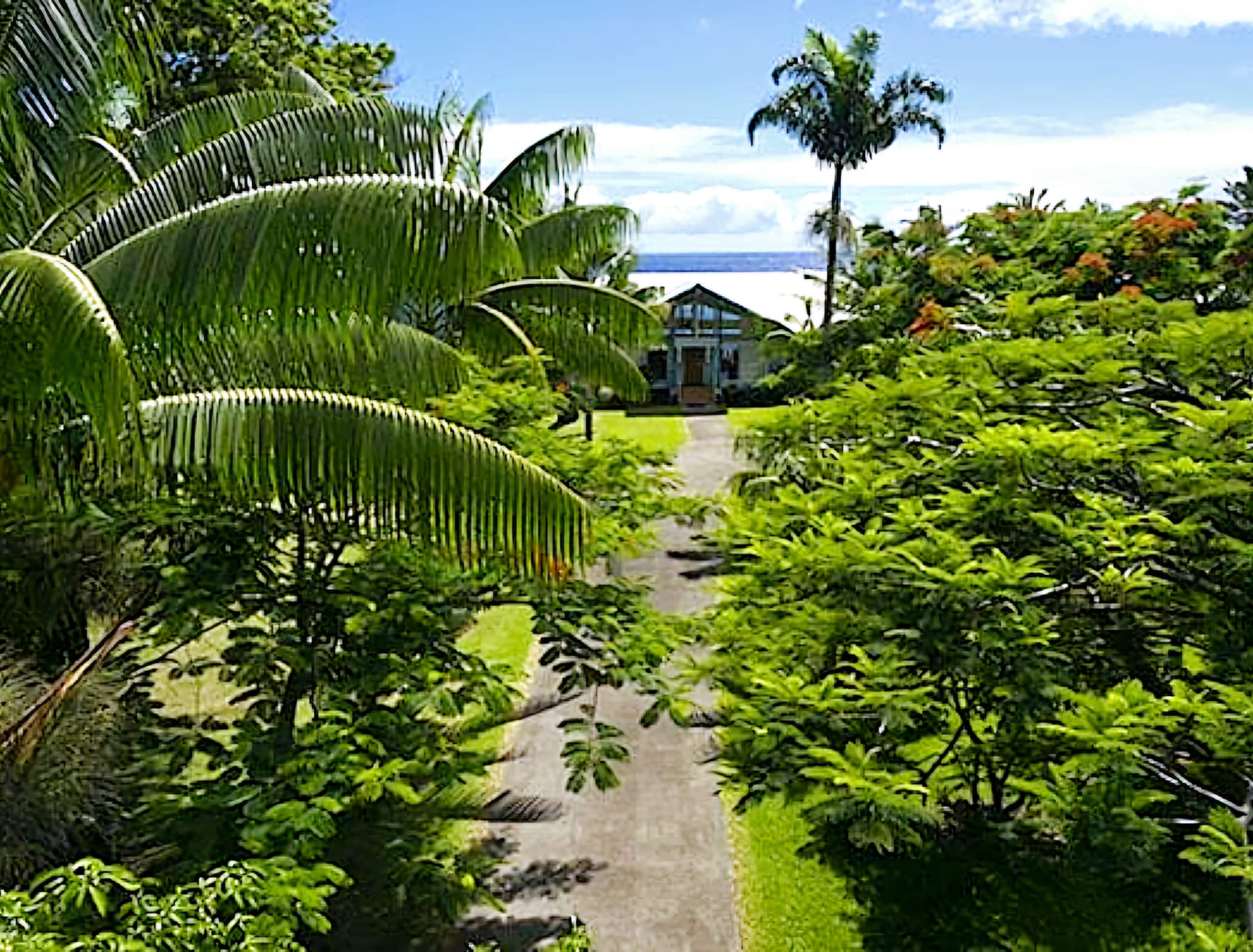 Grand Oceanfront Gated Estate on the Hamakua Coast - Photo 63