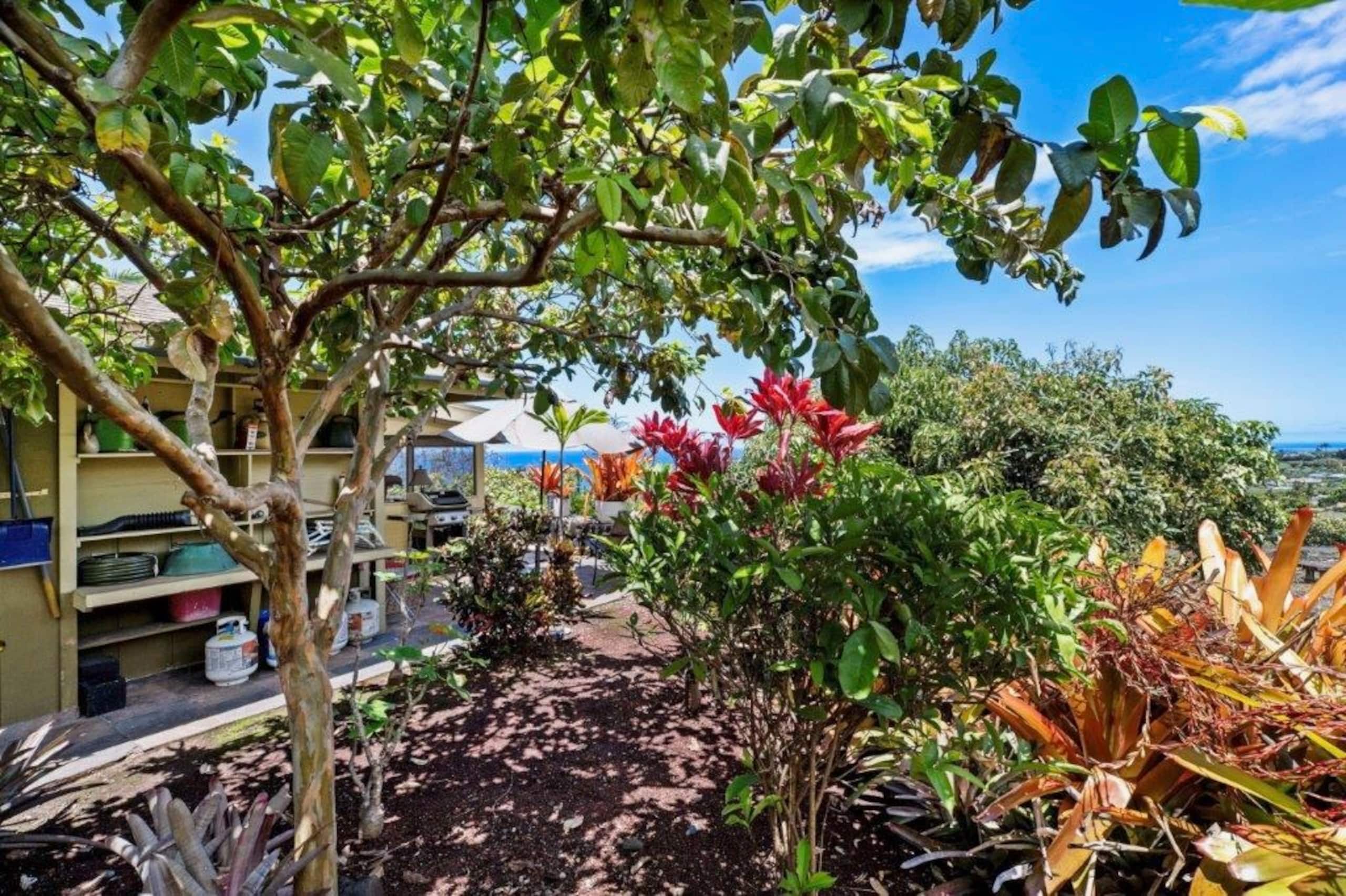 Home in Kailua-Kona · ★4.95 · 3 bedrooms · 4 beds · 2 private baths - Image 35