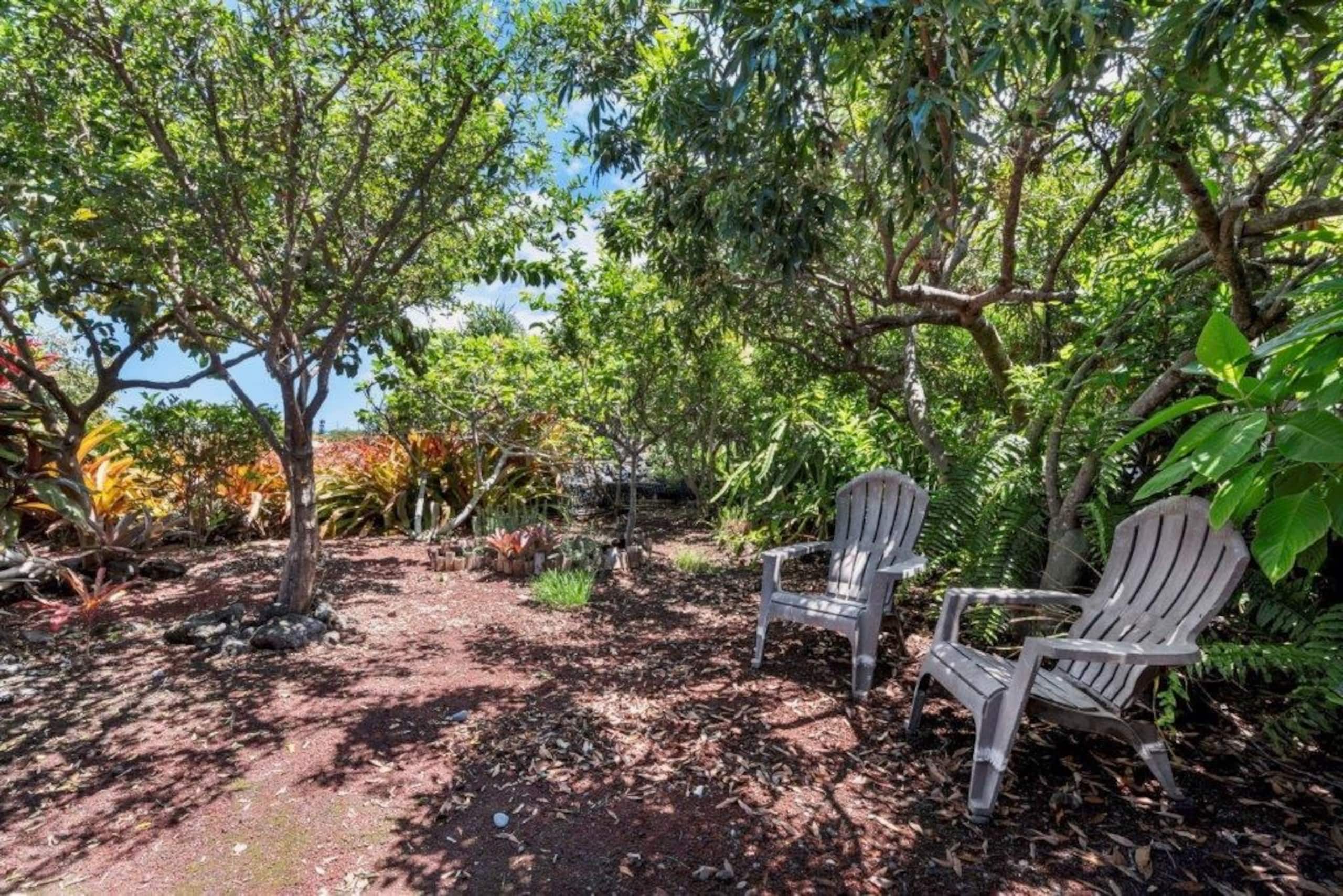 Home in Kailua-Kona · ★4.95 · 3 bedrooms · 4 beds · 2 private baths - Image 34