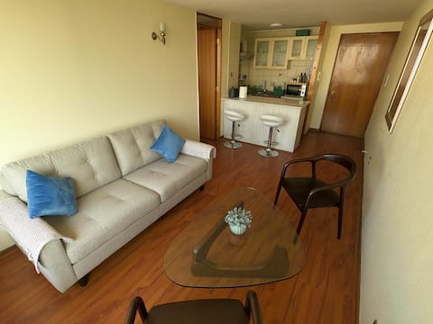Top Airbnb: Povidencia, Santiago in Santiago