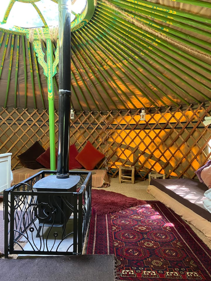 Oak, Mongolian Yurt, In Magical Woodland, Hot Tub - Forest of Dean