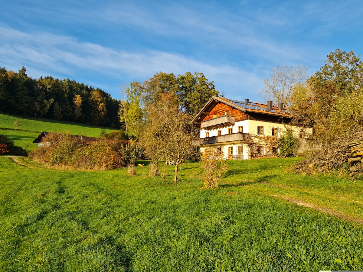 The image showcases a spacious vacation apartment set within a serene landscape. Surrounding greenery, including trees and fields, complements the building's exterior, which features wooden accents. The structure is positioned to take advantage of the tranquil rural surroundings, enhancing the sense of privacy.
