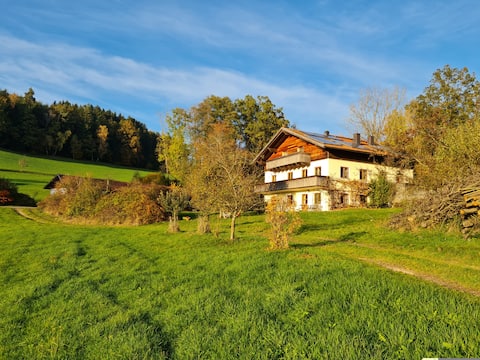 Wanninger Vacation Rental