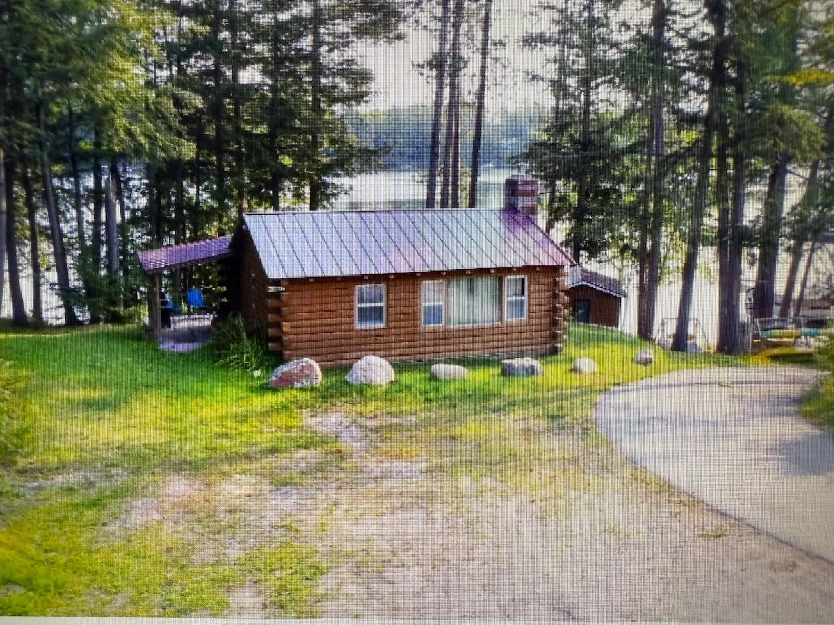 A charming log cabin is nestled among tall trees, with a metal roof reflecting the sunlight. A spacious yard surrounds the cabin, where natural stones are scattered. A view of the lake can be seen in the background, enhancing the serene atmosphere.
