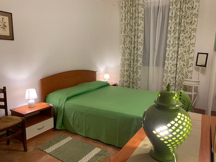 Camera VERDE