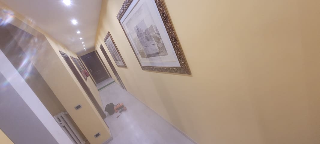 catone 21 apartment gallery image 4