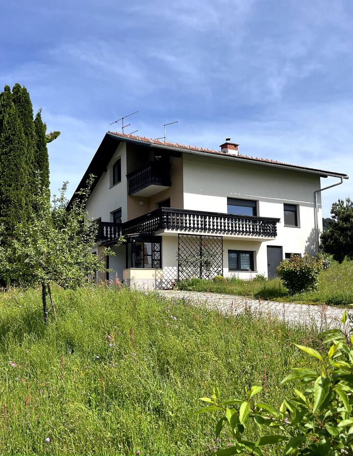 Apartment River - Dobrna
