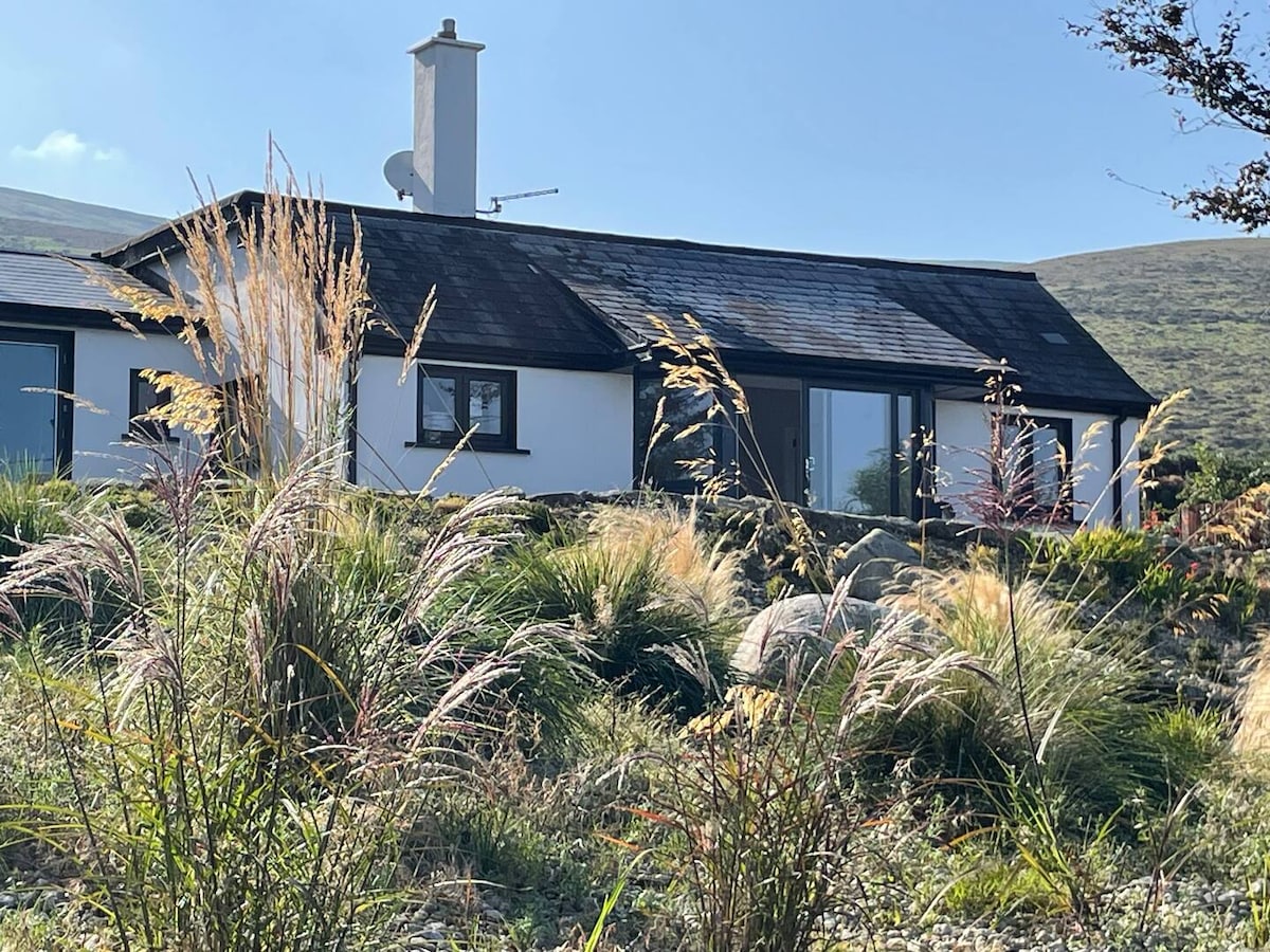 The exterior of Willow Cottage is framed by lush grass and ornamental plants, showcasing a modern design. Large windows allow for natural light, while a chimney suggests a cozy atmosphere. The backdrop features gentle hills, emphasizing the tranquil rural setting.