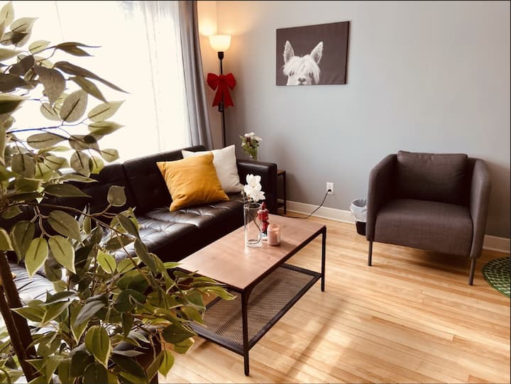 Single Room - Centre Of Ottawa - Ottawa