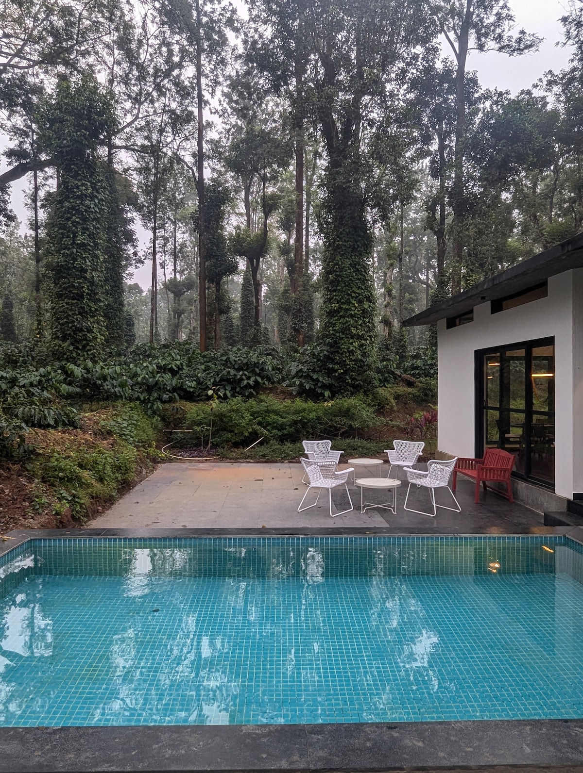 A serene plunge pool is framed by a spacious deck, surrounded by lush greenery and tall trees. Simple garden furniture, including white wire chairs and a red accent chair, is arranged nearby, inviting relaxation and enjoyment of the natural surroundings.
