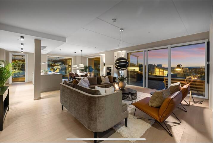 Unik toppleilighet, privat parkering, Gamle Oslo gallery image 3