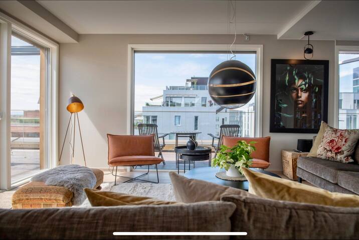 Unik toppleilighet, privat parkering, Gamle Oslo gallery image 5