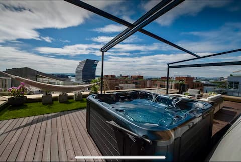 Unique top apartment, private parking, Old Oslo