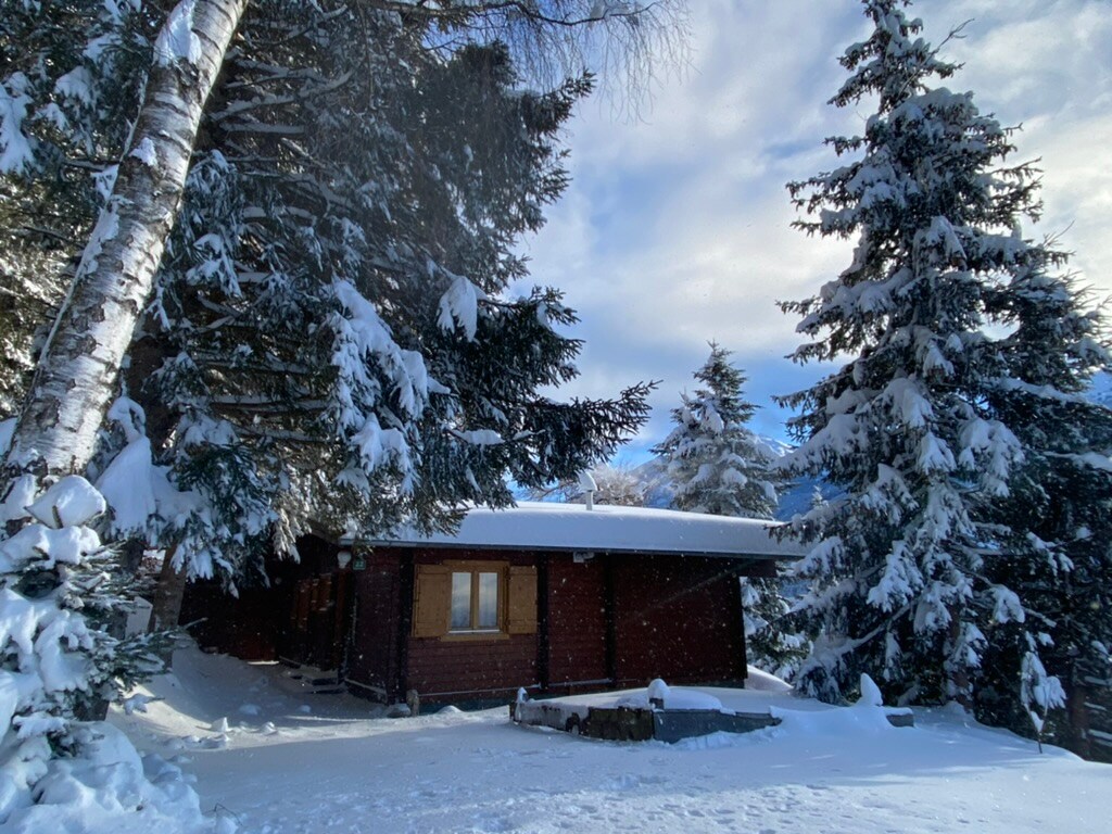 A charming chalet is nestled among tall snow-covered trees, creating a serene winter landscape. The wooden exterior of the chalet features large windows, allowing glimpses of the warmth inside. Soft white snow blankets the ground, enhancing the tranquil ambiance of the surrounding nature.