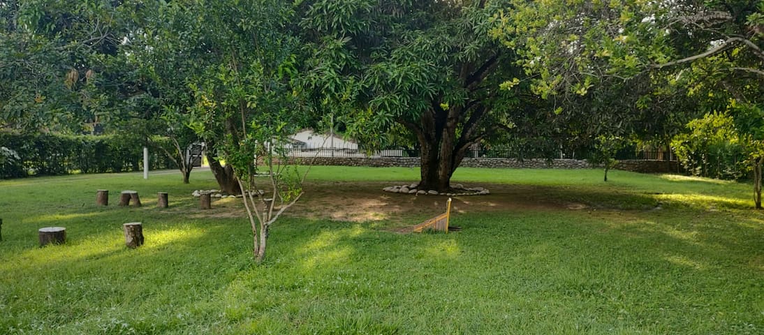 Jardines y zonas verdes