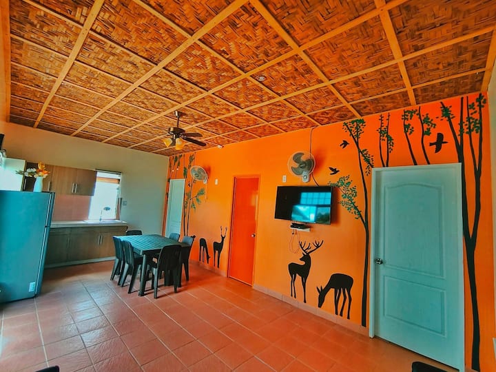 Galaxy Get-away Homes Family Room - Dalaguete
