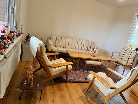 Green Basel Home - 5 beds -free parking