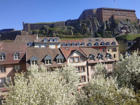Top Airbnb: "In the Eyes of the Lion" in Belfort