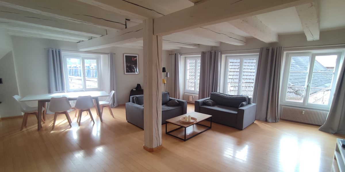 Top Airbnb: "In the Eyes of the Lion" à Belfort