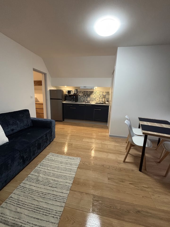 Appartement Luxo - Le Raincy