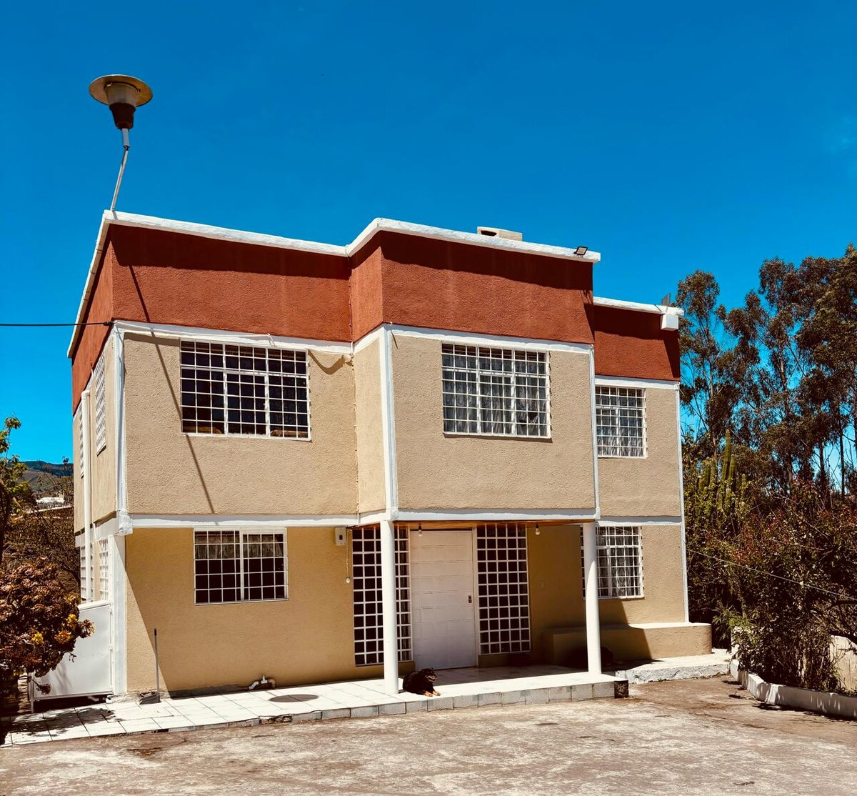 A two-story building is shown with a mix of beige and reddish-orange exterior walls. Multiple large windows allow ample natural light, and a central entrance is highlighted by a covered porch. Surrounding greenery hints at a scenic setting.