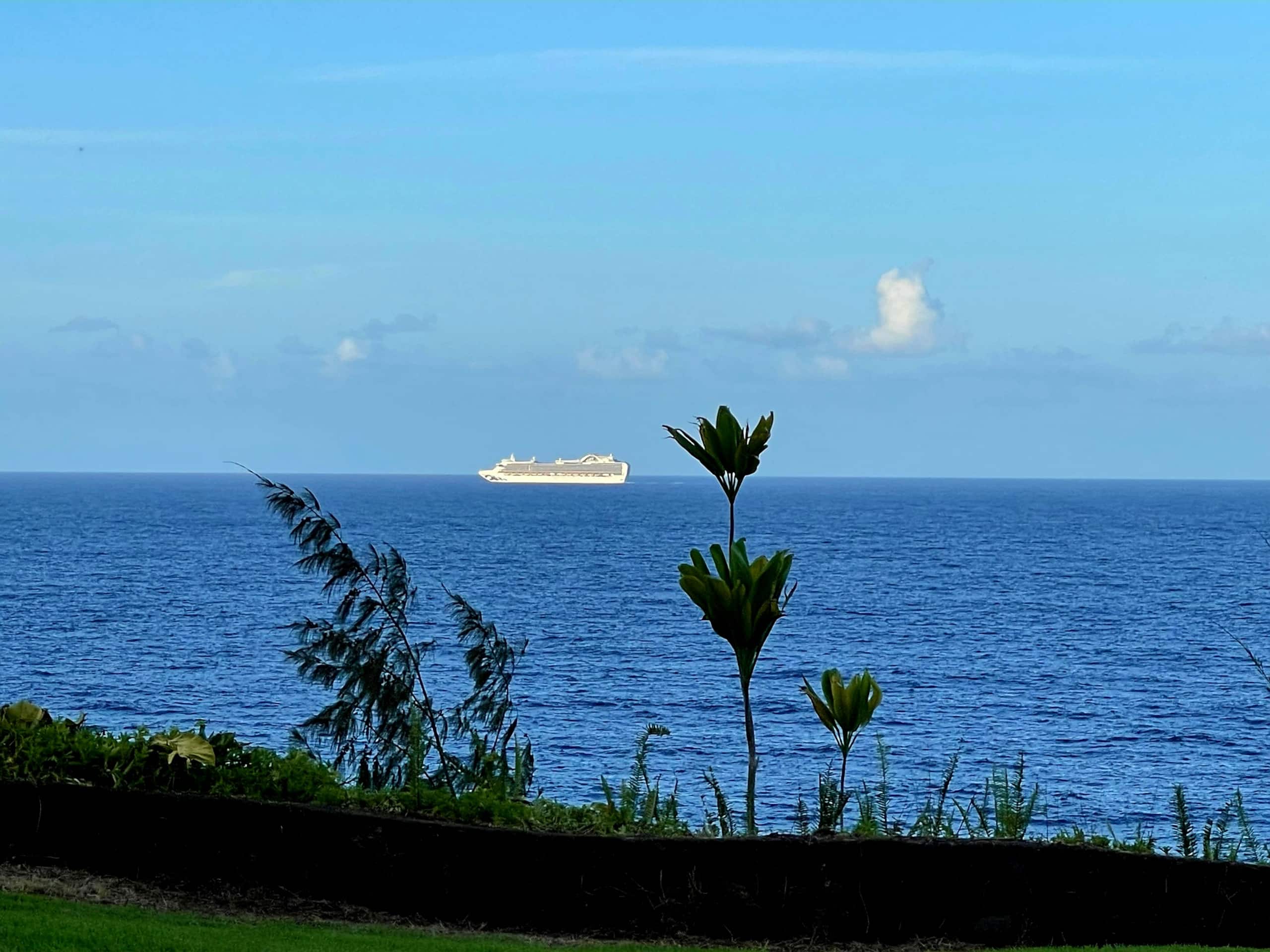 Home in Hakalau · ★4.97 · 2 bedrooms · 2 beds · 1 bath - Photo 30