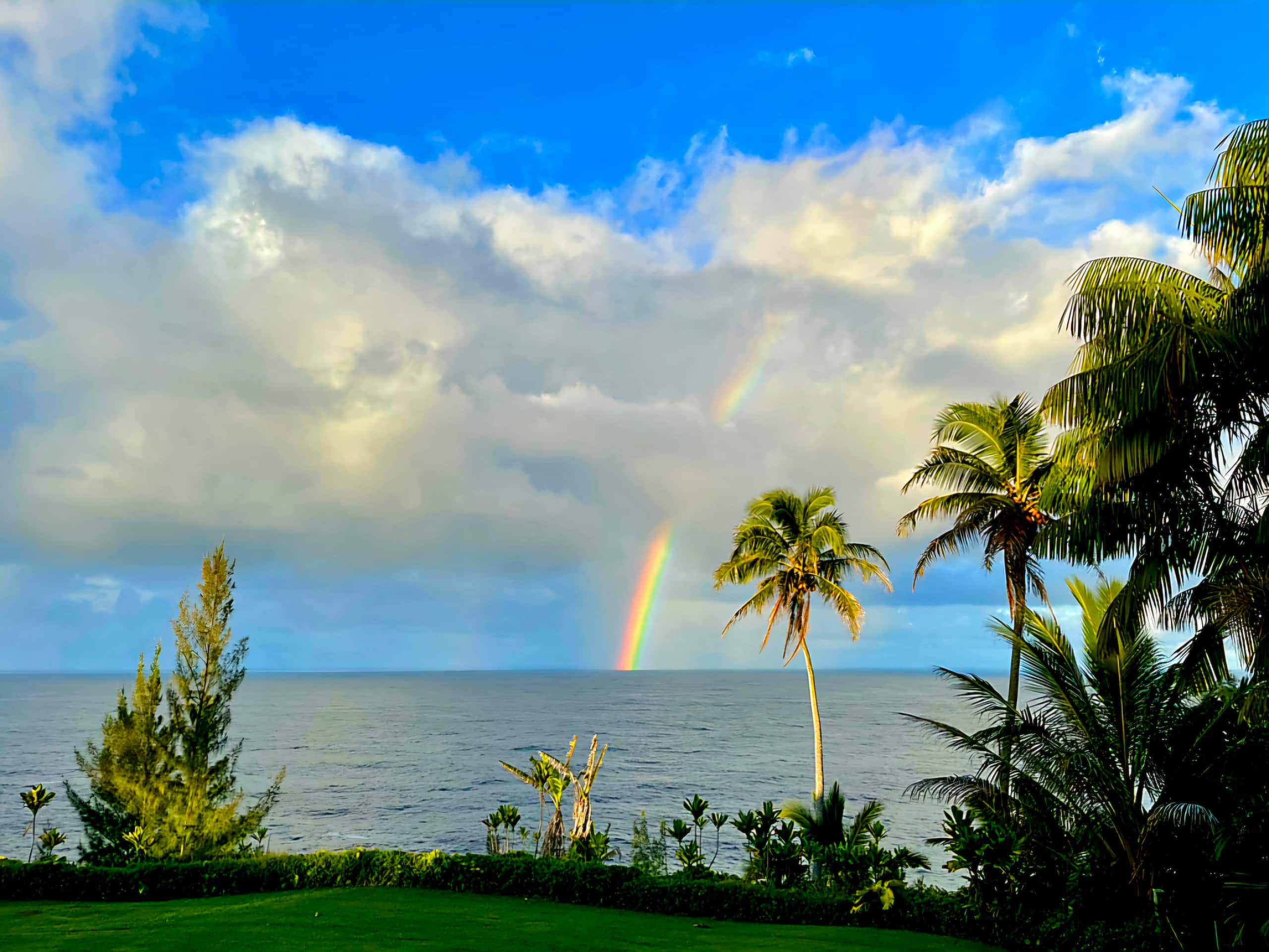 Home in Hakalau · ★4.97 · 2 bedrooms · 2 beds · 1 bath - Photo 24
