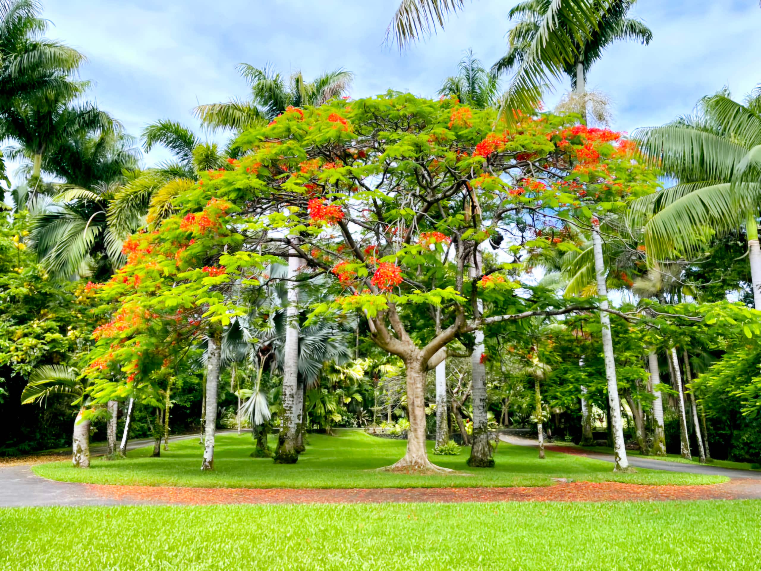 Home in Hakalau · ★4.97 · 2 bedrooms · 2 beds · 1 bath - Photo 34