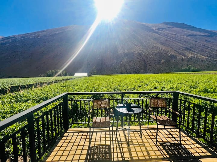Loft Pisco Elqui